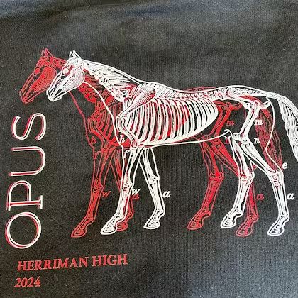 Full color DTF print for Herriman High School on a dark shirt